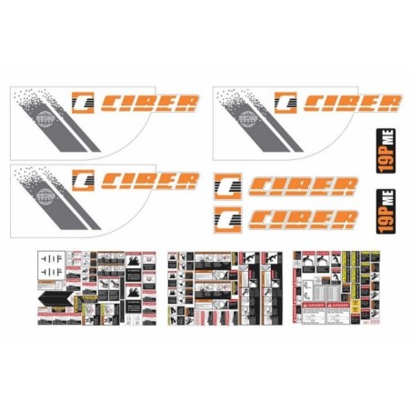 CIBER 19P