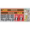 RAYGO RUSTLER 303